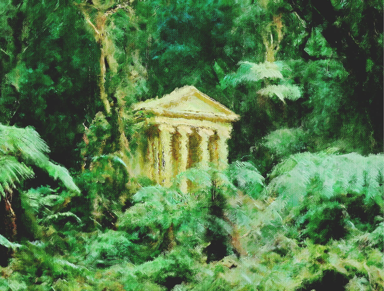 Fern Cathedral by Anya Whitlock